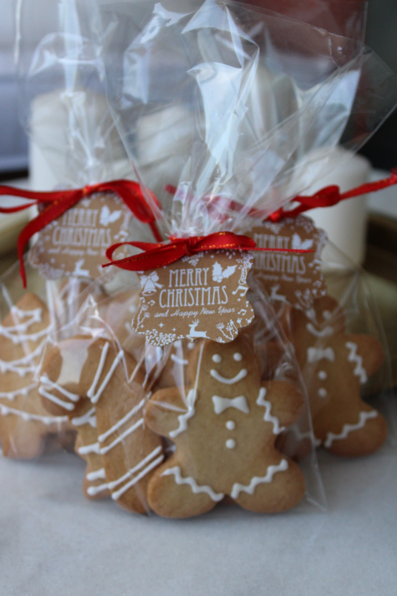 Galletas de jengibre - packs 5un -